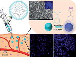Graphical abstract: Anti-photobleaching flower-like microgels as optical nanobiosensors with high selectivity at physiological conditions for continuous glucose monitoring