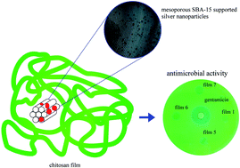 Graphical abstract: Chitosan films containing mesoporous SBA-15 supported silver nanoparticles for wound dressing