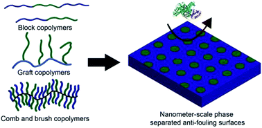 Graphical abstract: Nanometer-scale self-assembly of amphiphilic copolymers to control and prevent biofouling