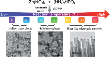 Graphical abstract: Physiochemical properties and bioapplication of nano- and microsized hydroxy zinc phosphate particles modulated by reaction temperature