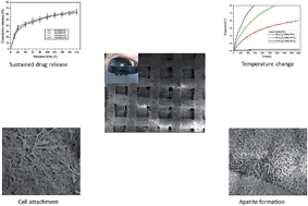 Graphical abstract: 3D-printed magnetic Fe3O4/MBG/PCL composite scaffolds with multifunctionality of bone regeneration, local anticancer drug delivery and hyperthermia