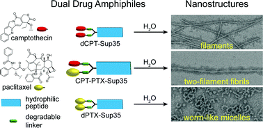 Graphical abstract: Synthesis and self-assembly of a mikto-arm star dual drug amphiphile containing both paclitaxel and camptothecin