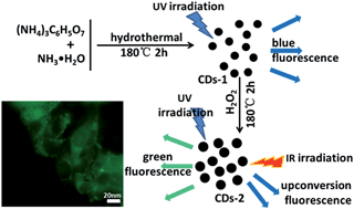 Graphical abstract: Simultaneously enhancing up-conversion fluorescence and red-shifting down-conversion luminescence of carbon dots by a simple hydrothermal process