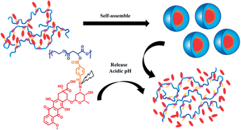 Graphical abstract: Acid-triggered drug release from micelles based on amphiphilic oligo(ethylene glycol)–doxorubicin alternative copolymers