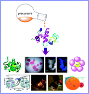 Graphical abstract: Protein-directed approaches to functional nanomaterials: a case study of lysozyme