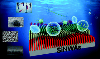 Graphical abstract: Vertical SiNWAs for biomedical and biotechnology applications