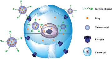 Graphical abstract: Biomolecules-conjugated nanomaterials for targeted cancer therapy