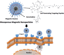 Graphical abstract: A c(RGDfE) conjugated multi-functional nanomedicine delivery system for targeted pancreatic cancer therapy