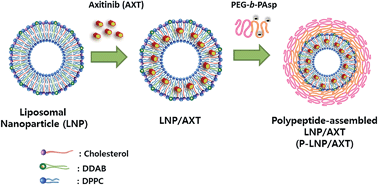 Graphical abstract: Systemic delivery of axitinib with nanohybrid liposomal nanoparticles inhibits hypoxic tumor growth
