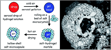 Graphical abstract: Fabrication of salt–hydrogel marbles and hollow-shell microcapsules by an aerosol gelation technique
