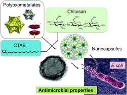 Graphical abstract: Supramolecular antimicrobial capsules assembled from polyoxometalates and chitosan