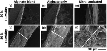 Graphical abstract: Improved cell infiltration of highly porous 3D nanofibrous scaffolds formed by combined fiber–fiber charge repulsions and ultra-sonication