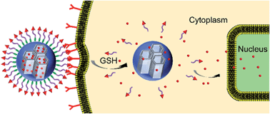 Graphical abstract: A redox-responsive drug delivery system based on RGD containing peptide-capped mesoporous silica nanoparticles