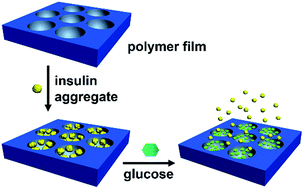 Graphical abstract: A patterned porous polymer film for localized capture of insulin and glucose-responsive release