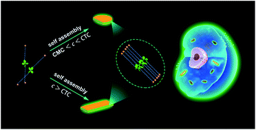 Graphical abstract: Water-soluble nano-fluorogens fabricated by self-assembly of bolaamphiphiles bearing AIE moieties: towards application in cell imaging