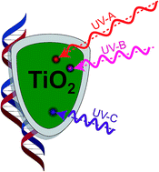 Graphical abstract: DNA protection against ultraviolet irradiation by encapsulation in a multilayered SiO2/TiO2 assembly