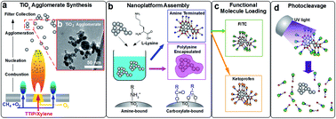 Graphical abstract: Low-cost photo-responsive nanocarriers by one-step functionalization of flame-made titania agglomerates with l-Lysine