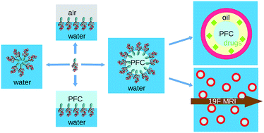 Graphical abstract: Perfluorocarbon nanodroplets stabilized by fluorinated surfactants: characterization and potentiality as theranostic agents