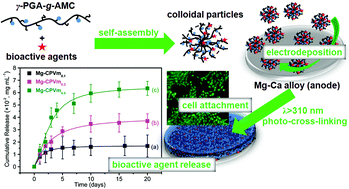 Graphical abstract: Controlled release and corrosion protection by self-assembled colloidal particles electrodeposited onto magnesium alloys