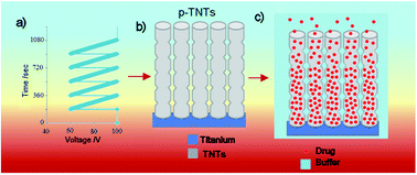 Graphical abstract: Periodically tailored titania nanotubes for enhanced drug loading and releasing performances