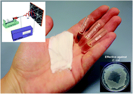 Graphical abstract: Fibrous wound dressings encapsulating essential oils as natural antimicrobial agents