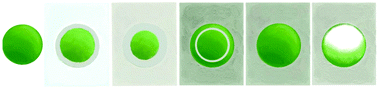 Graphical abstract: Silica@proton-alginate microreactors: a versatile platform for cell encapsulation