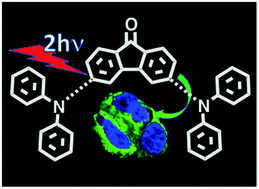 Graphical abstract: Design and synthesis of fluorenone-based dyes: two-photon excited fluorescent probes for imaging of lysosomes and mitochondria in living cells