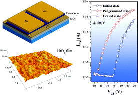 Graphical abstract: Flash memory based on solution processed hafnium dioxide charge trapping layer