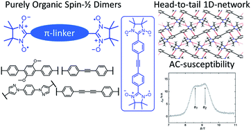 Graphical abstract: Interacting networks of purely organic spin–1/2 dimers