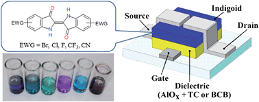 Graphical abstract: Design of indigo derivatives as environment-friendly organic semiconductors for sustainable organic electronics
