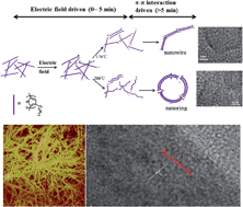 Graphical abstract: Nanowires with unusual packing of poly(3-hexylthiophene)s induced by electric fields