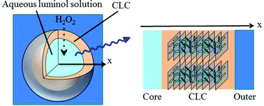Graphical abstract: Chemiluminescence emission in cholesteric liquid crystalline core–shell microcapsules