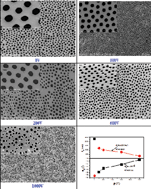 Graphical abstract: Fabrication of porous film with controlled pore size and wettability by electric breath figure method