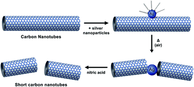Graphical abstract: Controlled oxidative cutting of carbon nanotubes catalysed by silver nanoparticles