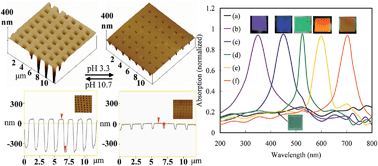 Graphical abstract: Fabrication of metamaterial absorber using polymer brush – gold nanoassemblies for visualizing the reversible pH-responsiveness