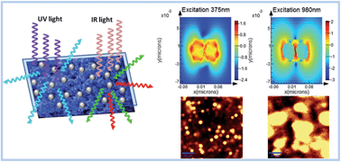Graphical abstract: Plasmonic enhancement of dual mode fluorescence in a silver nano-antenna–ZnO:Er3+ hybrid nanostructure