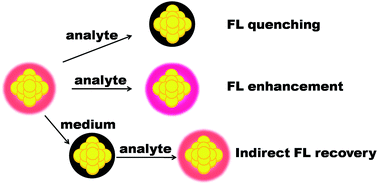 Graphical abstract: Fluorescent Au nanoclusters: recent progress and sensing applications
