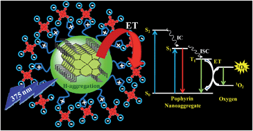 Graphical abstract: Photophysical properties of ionic liquid-assisted porphyrin nanoaggregate–nickel phthalocyanine conjugates and singlet oxygen generation