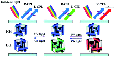 Graphical abstract: Photo- and thermal switching of blue phase films reflecting both right- and left-circularly polarized light