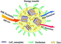Graphical abstract: Self-assembly of LaF3:Yb,Er/Tm nanoplates into colloidal spheres and tailoring their upconversion emissions with fluorescent dyes