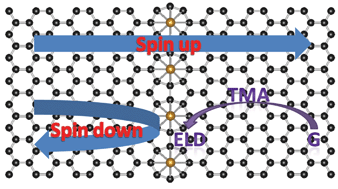 Graphical abstract: First-principles study of 3d transition metal atom adsorption onto graphene: the role of the extended line defect