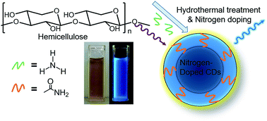 Graphical abstract: Sustainable carbon quantum dots from forestry and agricultural biomass with amplified photoluminescence by simple NH4OH passivation