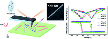 Graphical abstract: Piezoelectricity of lead-free (K, Na)NbO3 nanoscale single crystals
