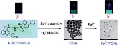 Graphical abstract: Retracted Article: Design and synthesis of a highly sensitive “Turn-On” fluorescent organic nanoprobe for iron(iii) detection and imaging