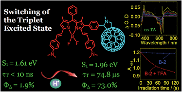 Graphical abstract: Switching of the triplet excited state of the C60-dimethylaminostyryl BODIPY dyads/triads