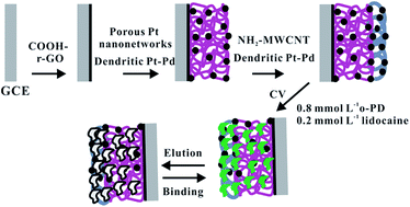 Graphical abstract: A novel electrochemical sensor for the determination of lidocaine based on surface-imprinting on porous three-dimensional film