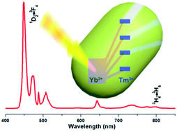 Graphical abstract: Intense multiphoton upconversion of Yb3+–Tm3+ doped β-NaYF4 individual nanocrystals by saturation excitation