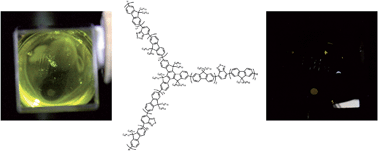 Graphical abstract: Highly efficient electrogenerated chemiluminescence of an oligofluorene-truxene star-shaped compound incorporating 2,1,3-benzothiadiazole units