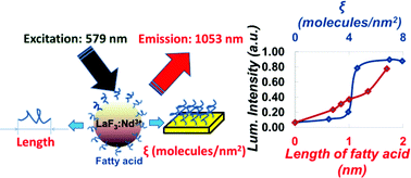 Graphical abstract: Effect of surface grafting coefficient and chain length of fatty acids on the luminescence of neodymium3+-doped LaF3 nanoparticles