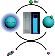Graphical abstract: Highly luminescent nitrogen-doped carbon quantum dots as effective fluorescent probes for mercuric and iodide ions